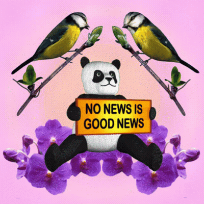 Panda Holding Sign No News Is Good News GIF