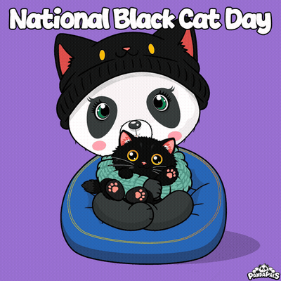 Panda In Black Hat Holding Black Kitten For National Black Cat Day GIF