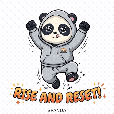 Panda In Hoodie Saying Rise And Reset GIF