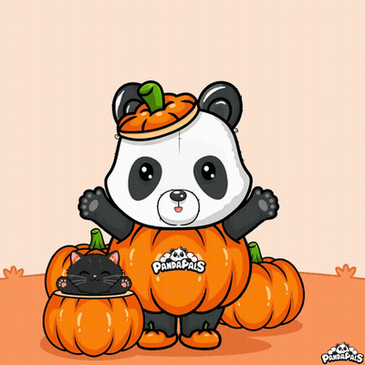 Panda In Pumpkin Costume Surrounded By Pumpkins And Black Cat GIF