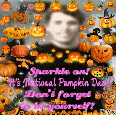 Panda In Pumpkin Costume With Pumpkins And Black Cat GIF