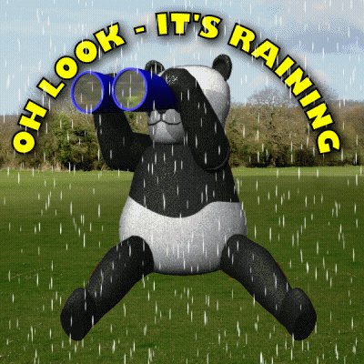 Panda Looking Through Binoculars In Rain Saying Oh Look It's Raining GIF