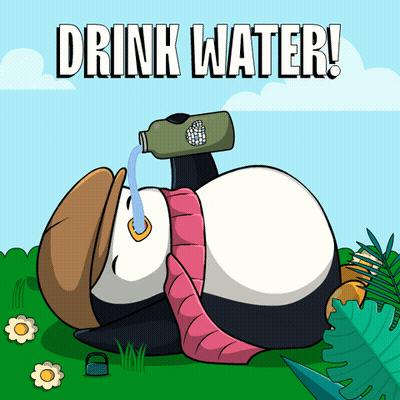 Panda Lying On Grass Drinking Water GIF