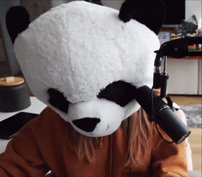 Panda Mascot Not Like This Live Streaming GIF