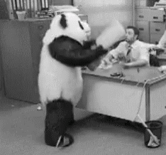 Panda Mascot Throwing Computer GIF