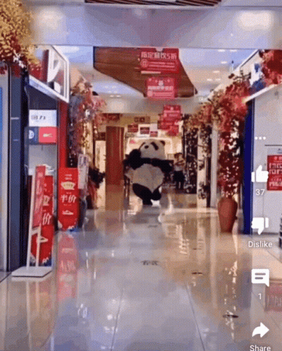 Panda Mascot Walking In Shopping Center GIF