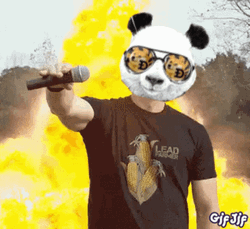 Panda Mask Guy Mic Drop Meme GIF