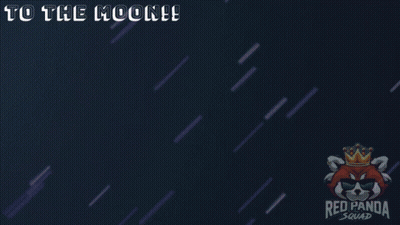 Panda On Rocket To The Moon GIF