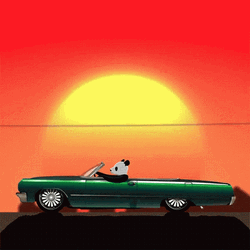 Panda Ride In Lowrider GIF