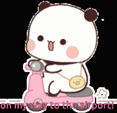 Panda Riding Pink Scooter On My Way To The Airport GIF