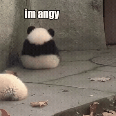 Panda Sitting Back To Camera Saying Im Angy GIF
