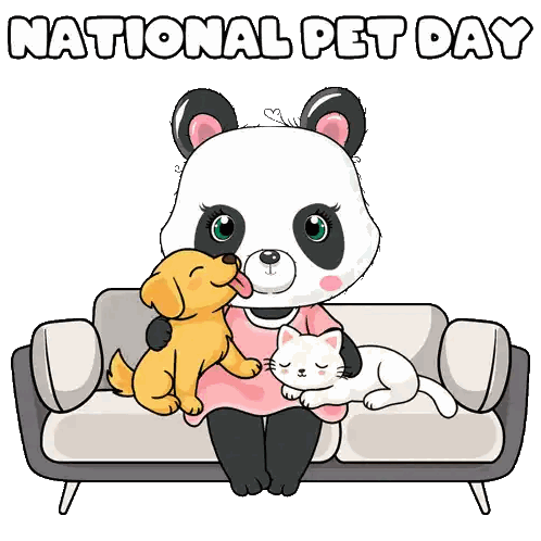 Panda Sitting With Dog And Cat Sticker
