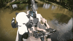 Panda Vibe In Funny Fishing GIF