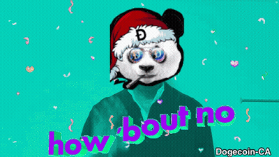 Panda Wearing Glasses And Bandana How Bout Me Dogecoin GIF