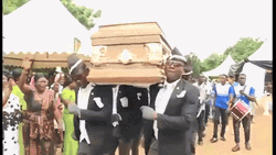 Pandemic Famous Coffin Dance GIF
