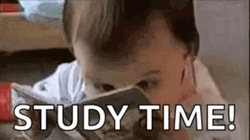 Panic-Stuck Studying And Reading GIF