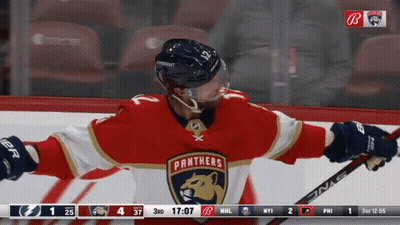 Panthers Hockey Player On Ice GIF