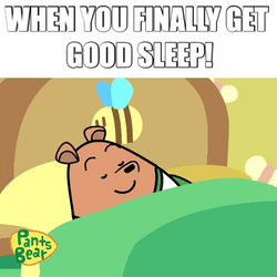 Pants Bear In Bed Sleeping Meme GIF