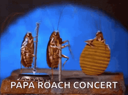 Papa Roach Concert GIF