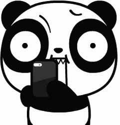 Paparazzi Mobile Pictures Koware Panda GIF