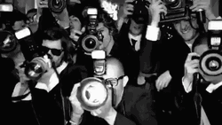 Paparazzi Photographers Camera Flashing GIF | GIFDB.com