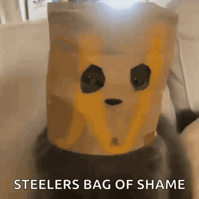 Paper Bag With Panda Face Steelers Bag Of Shame GIF