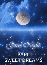 Papi Glowing And Sparkling Night Sky GIF