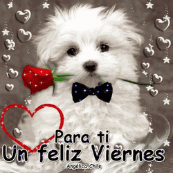 Para Ti Un Feliz Viernes GIF