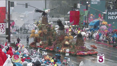 Parade With Number 5 GIF