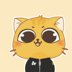 Pardon Me Cute Orange Cat GIF