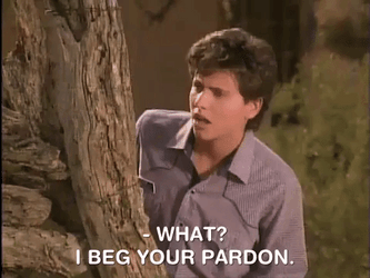 Pardon Me Hey Dude Ted McGriff GIF