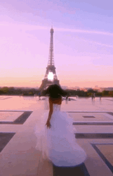 Paris France Travel GIF
