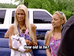 Paris Hilton Holding Chihuahua GIF