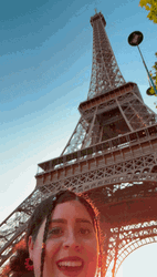Paris Selfie With Me GIF