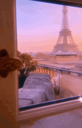 Paris View From My Room Eiffel Tower GIF