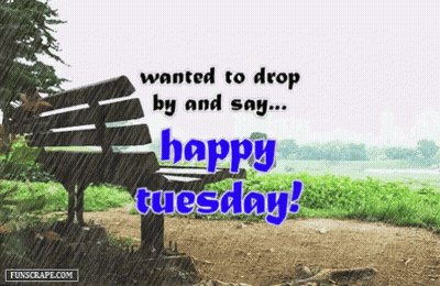 Park Bench Saying Happy Tuesday GIF
