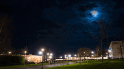 Park Cinematic Night Loop  GIF