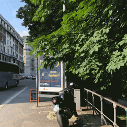 Park Mexico Buenos Dias GIF