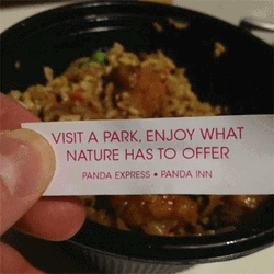 Park Nature Fortune Cookie GIF