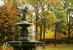 Park Water Fountain  GIF