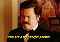 Parks And Rec You Are A Wonderful Person GIF