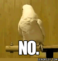 Parrot GIF