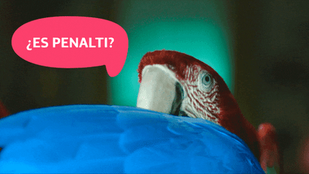 Parrot Hide From Penalties GIF