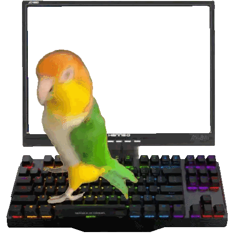 Parrot Standing On Keyboard In Front Of Acer Monitor Sticker
