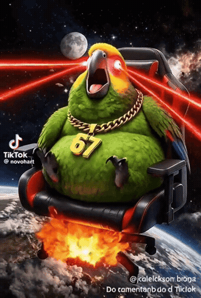 Parrot Wearing Number 67 Necklace Sitting In Chair GIF