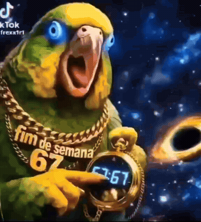 Parrot With Chain Holding Pocket Watch And Pointing GIF