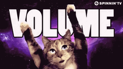 Party Cat Pump Volume GIF