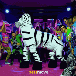 Party Dance Zoo Zebra Theme GIF