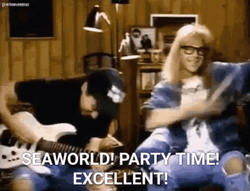Party On Wayne And Garth Rocking GIF