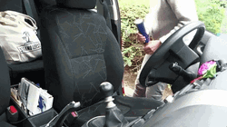Party Popper On A Car GIF